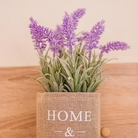 Appartement Comfort Mitropoleos *